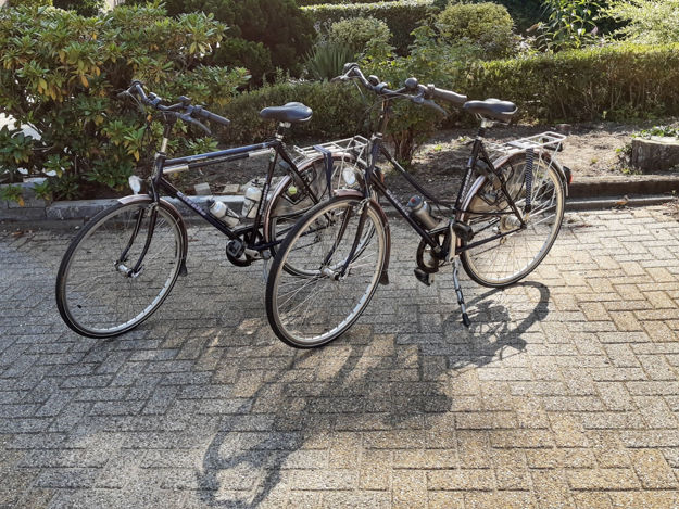 Afbeelding van Hybride Gazelle dames fiets